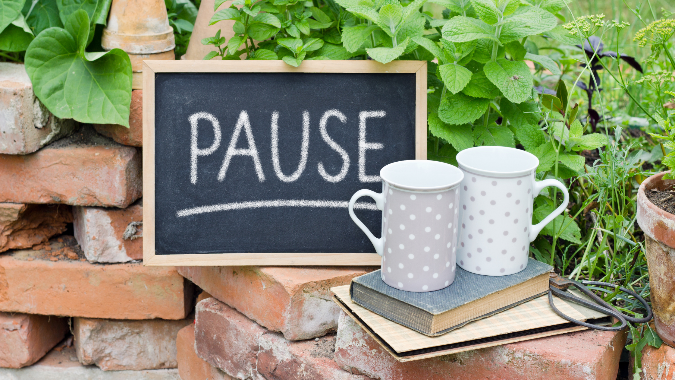 Time for a blogging break