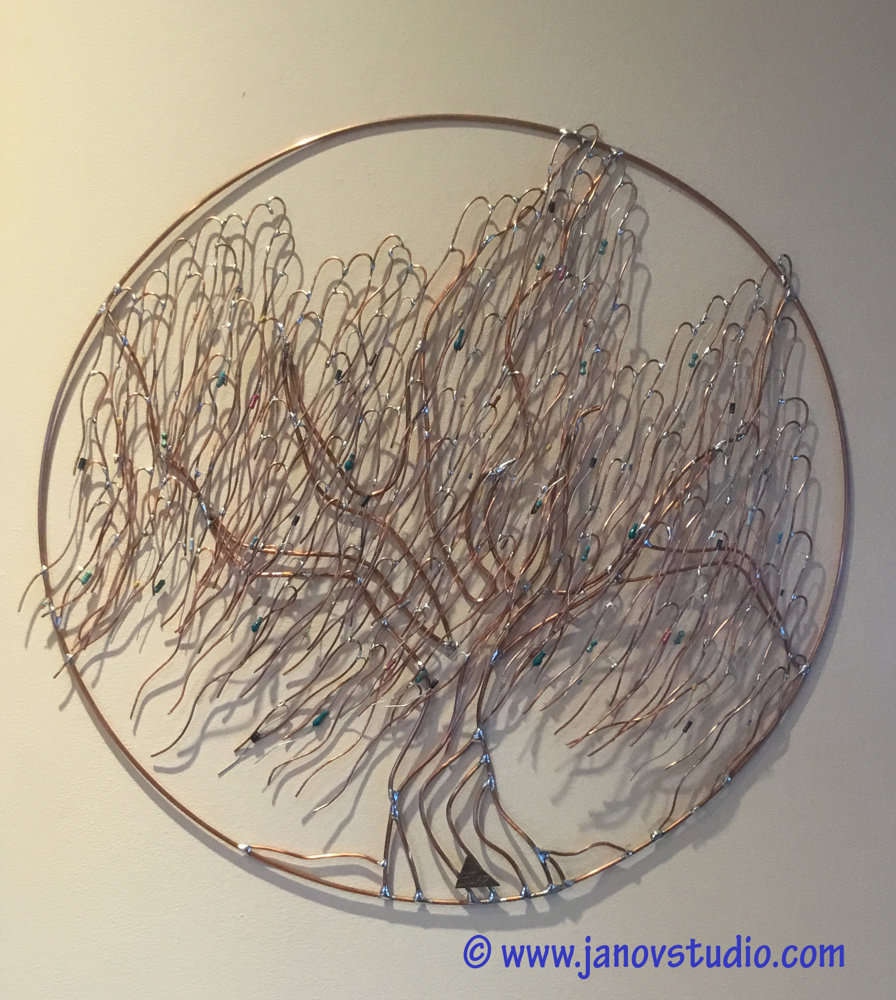 © Dr. Haninec's Weeping Willow