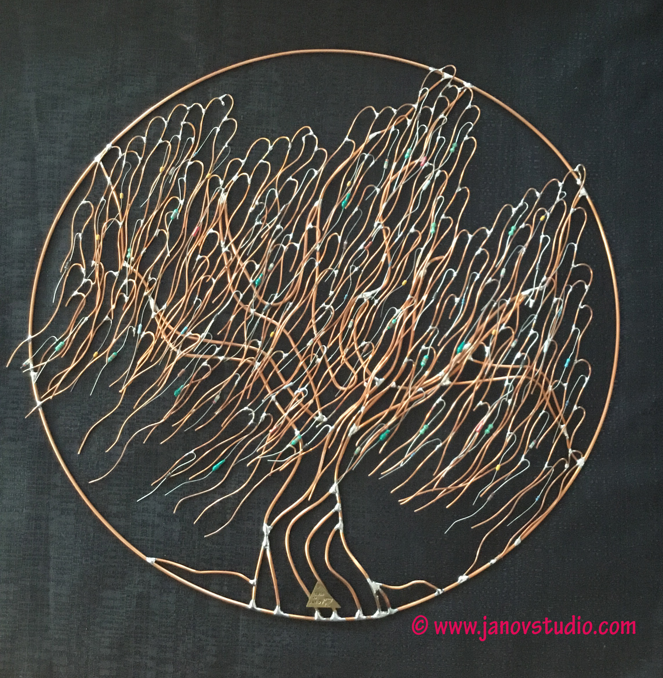 © Dr. Haninec's Weeping Willow