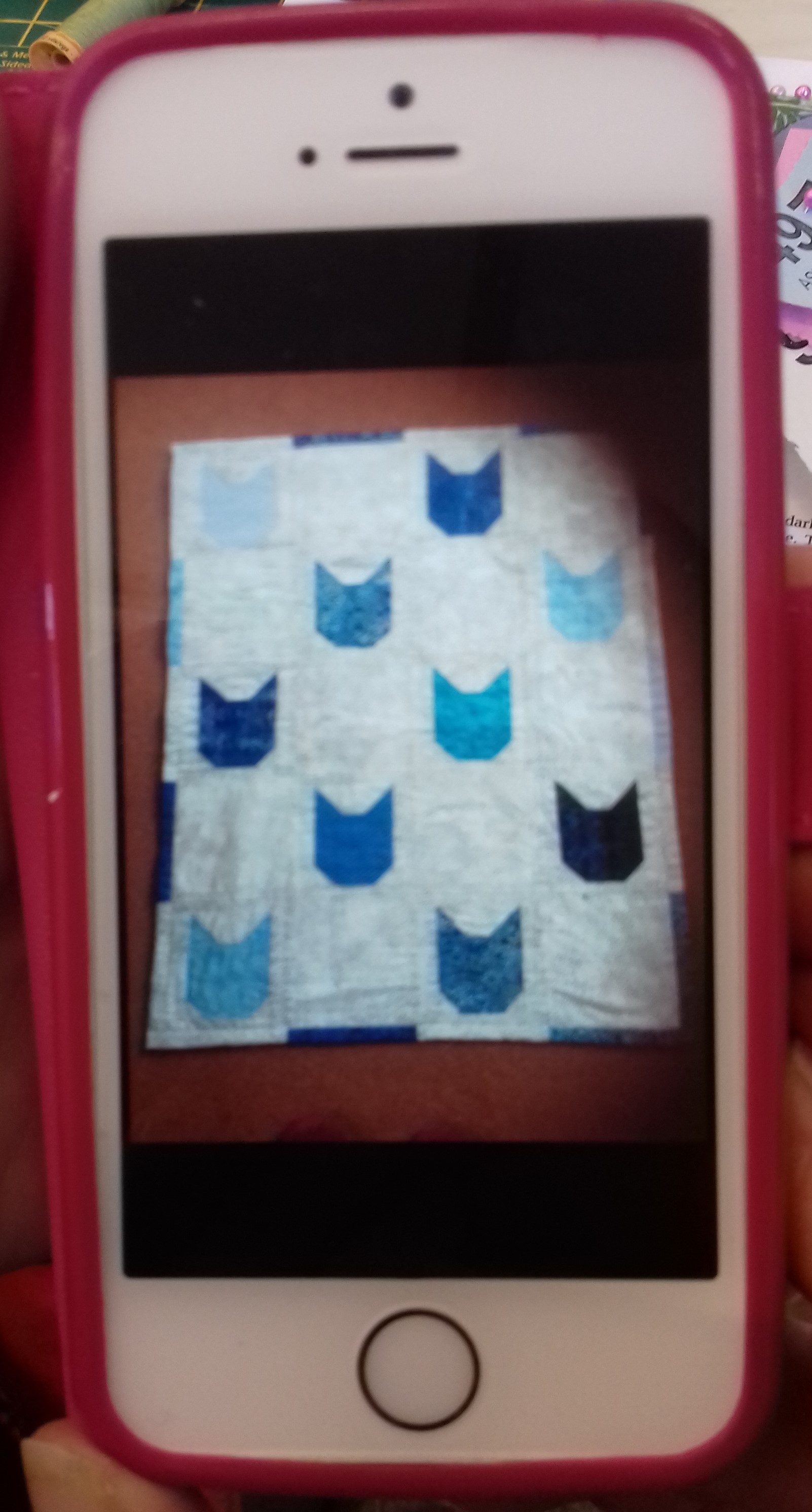 Janet's Cat quilt already gifted