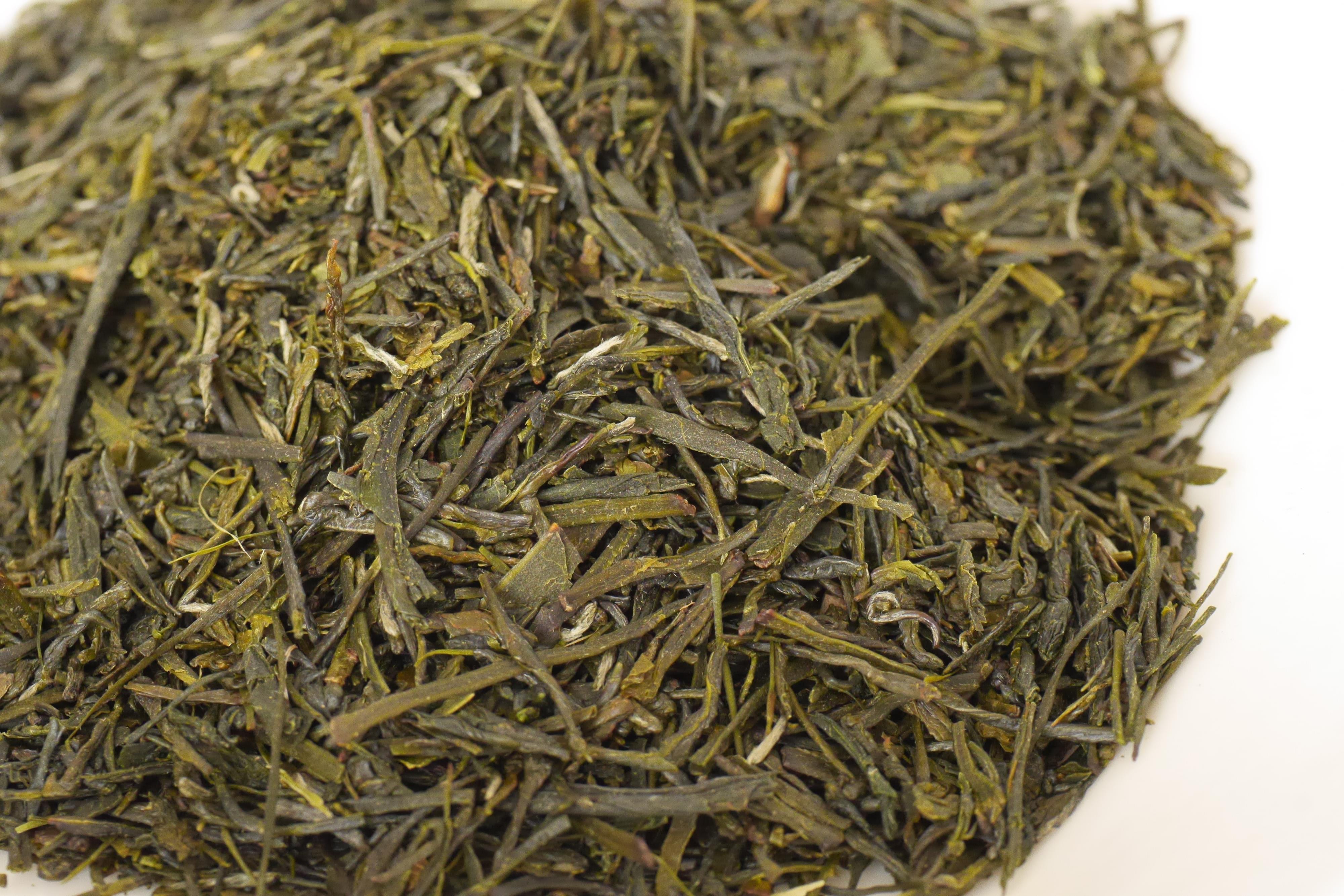 Shizu-Inzatsu 131, an historical cultivar – Japanese Tea Sommelier