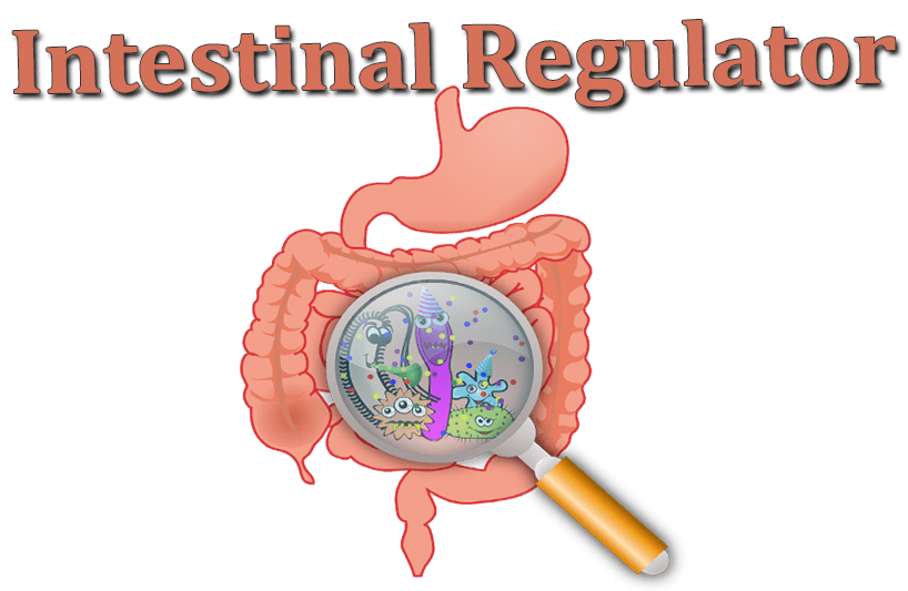 Intestinal Regulator Japan Guide