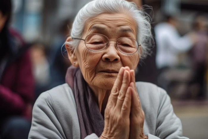 Guía práctica y gratuita de frases en japonés para viajeros 12 metodo japones para vivir 100 años