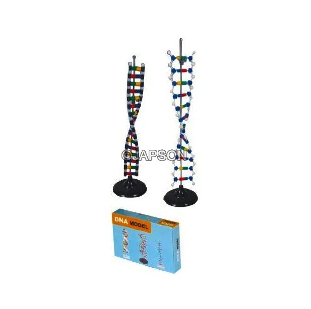 Dna Structure Model Simulation Kit - Mobile Dark Photos for Desktop