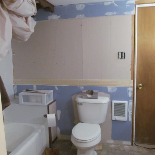 Pandemic bathroom re-do
