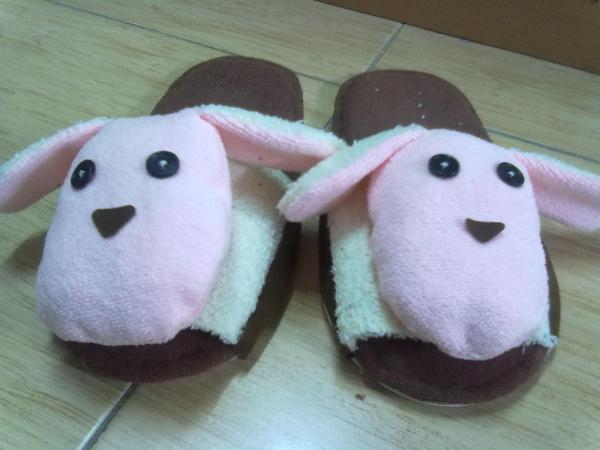Sheep shoes
