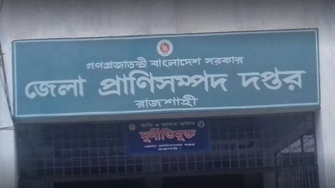 বাঁধাকপি খেয়ে সাত গরুর মৃত্যু