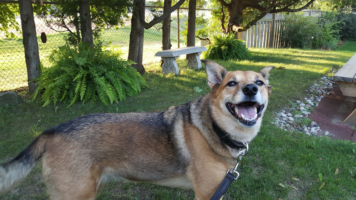 Eckert Lab Github - Space Backgrounds - Professional High Resolution Collection