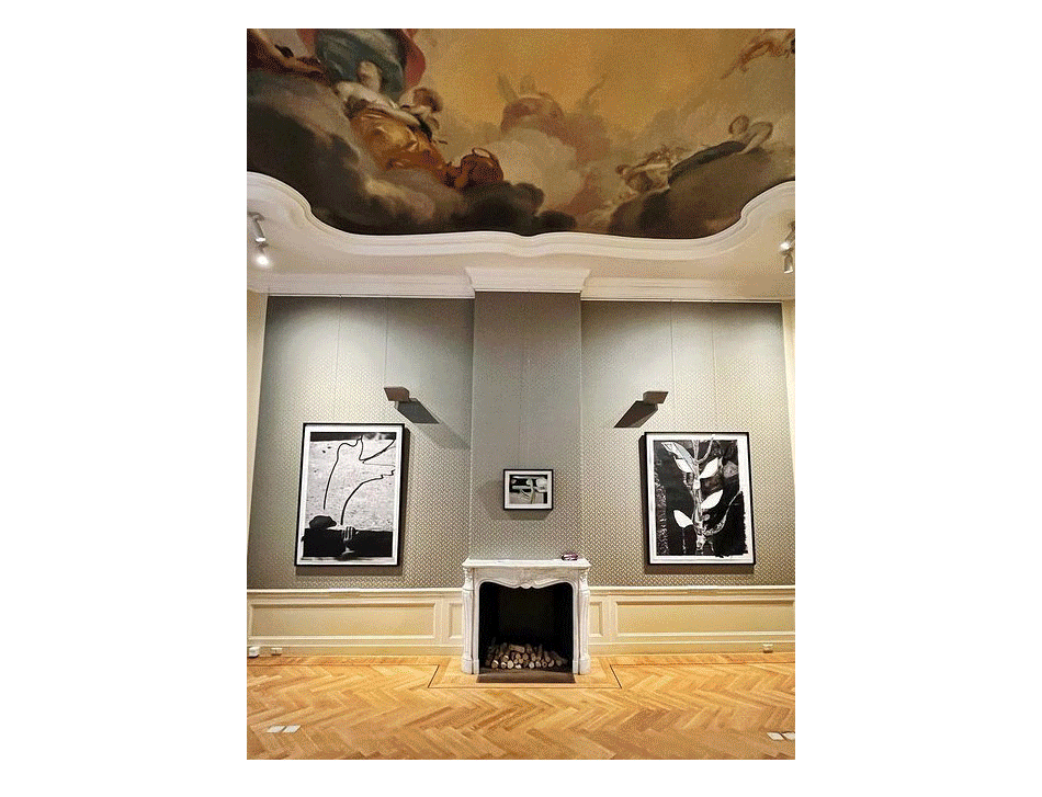 Huis_Vasari_NowOpen_2 Huis_Vasari_NowOpen_2
