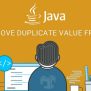 How To Remove Duplicate Value From Array In Java? – Java Developer Zone