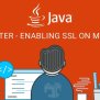 Securing Solr Cluster – Enabling SSL On Multi Node – Java Developer Zone