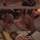 PFES-008 - Amateur - I'm the Only One Male Among the School Trip Group |  JAVCube
