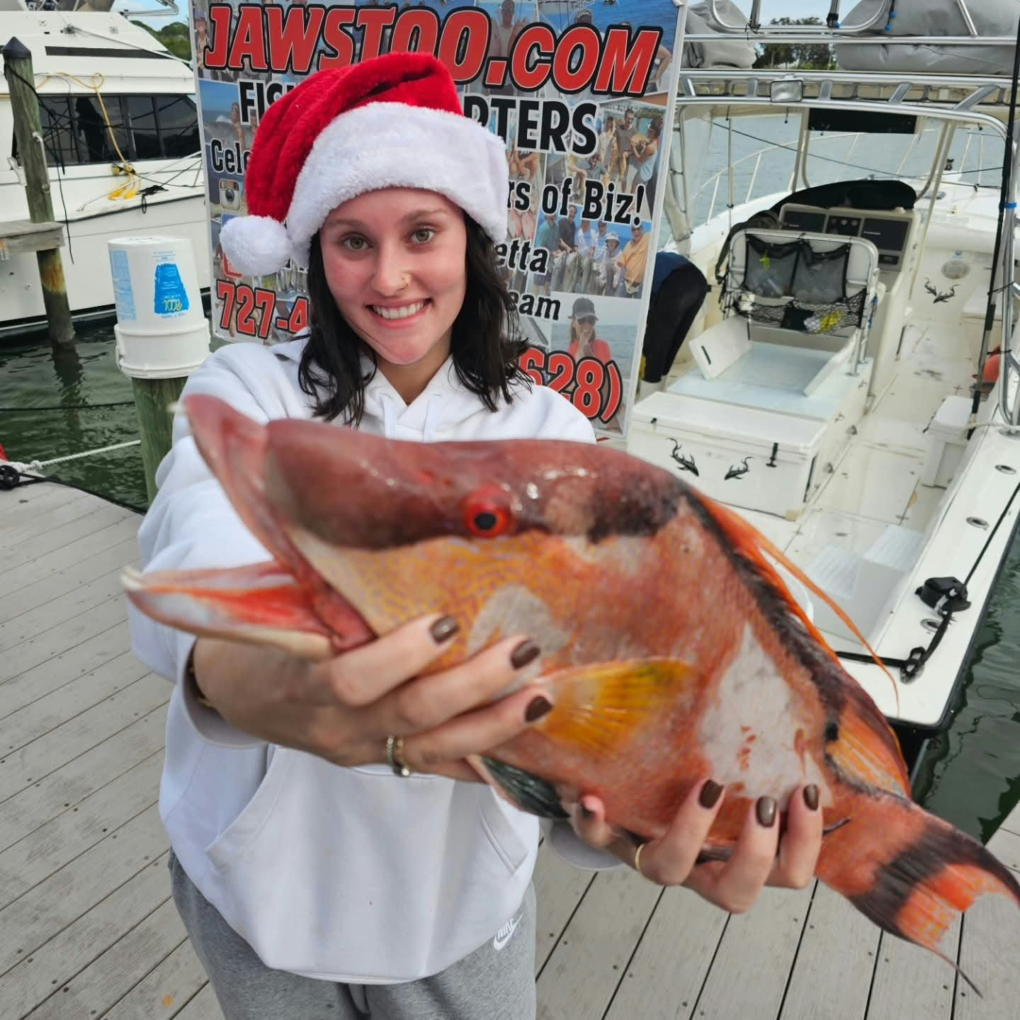 What's in Season - Winter fishing catch aboard Jawstoo Fishing Charters in Indian Rocks Beach Florida
