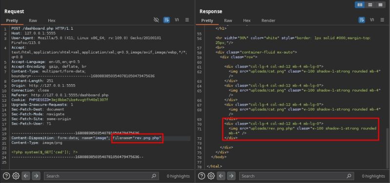 Tryhackme Backtrack Jaxafed - Gorgeous Nature Image - Retina