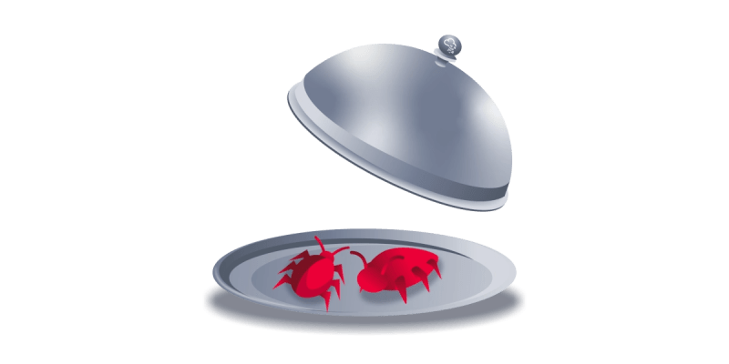 Platter Github - Best Colorful Backgrounds in HD