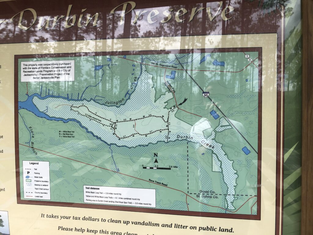 Julington Durbin Creek Preserve Jax Hikes IMG 2891 1024x768 