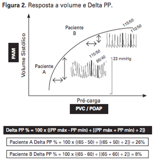 Jaymebc Jayme Castilho Github - Premium Vintage Photo Gallery - 8K