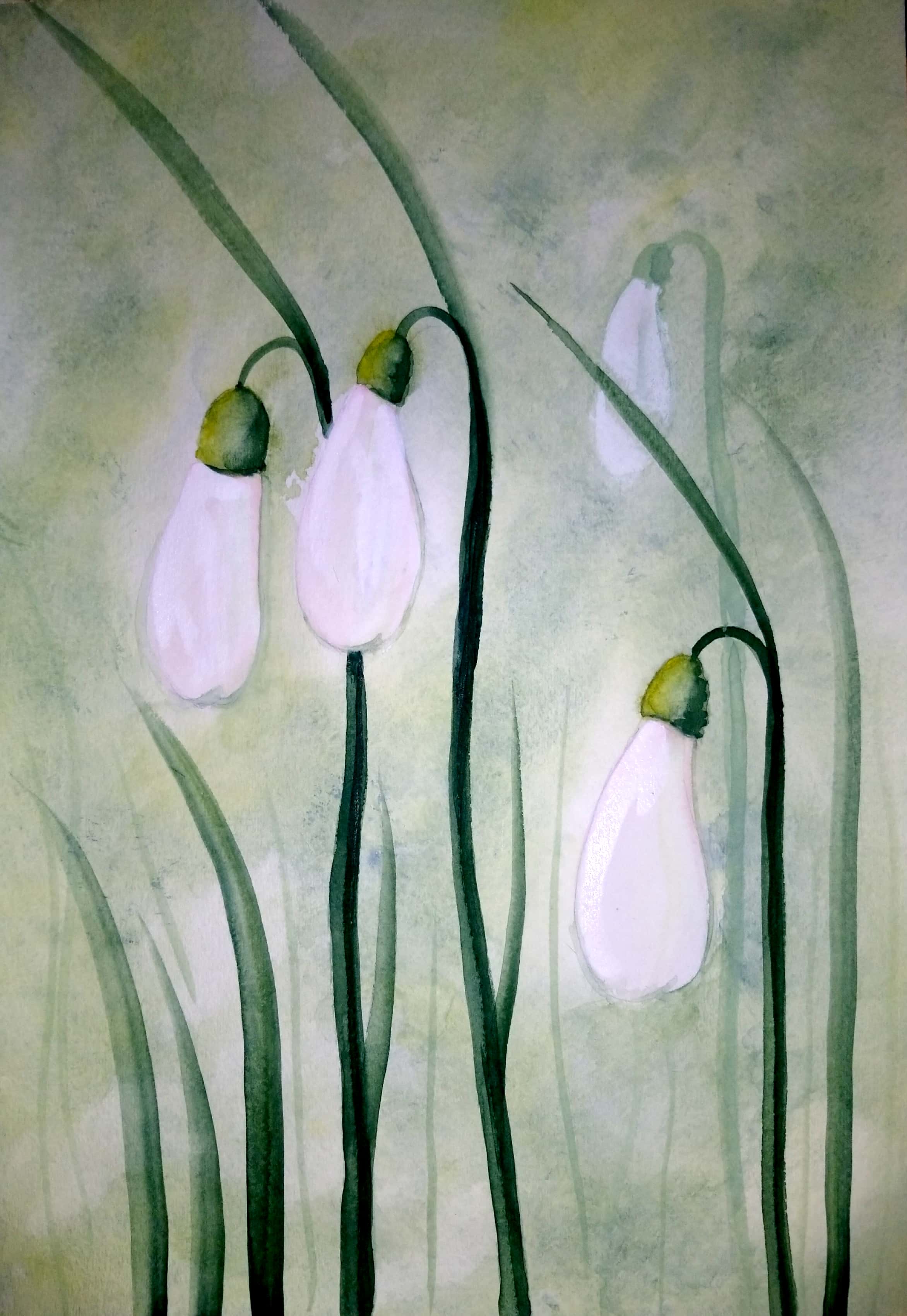 Watercolor Snowdrops