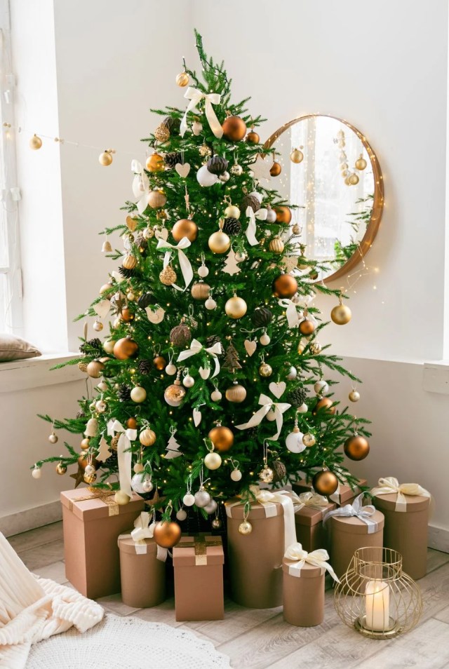 Christmas Tree Inspirations - Jayne Thomas