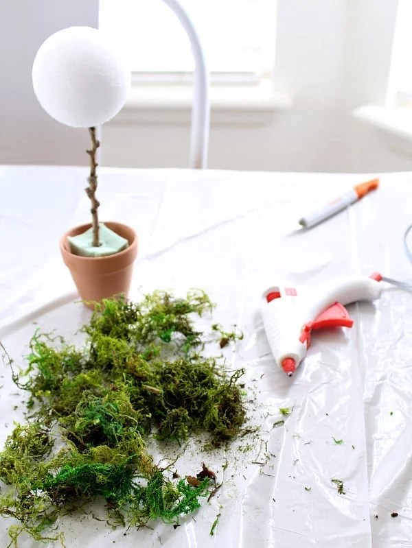 topiary how to 2