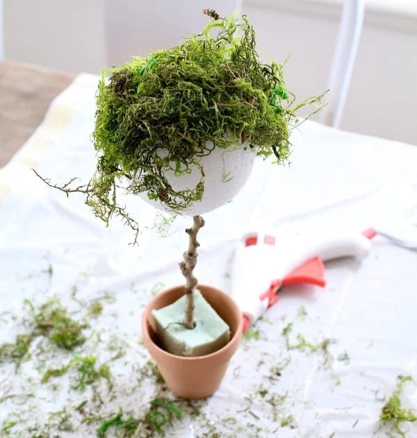 topiary how to 3