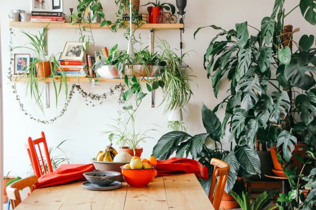 nature in home