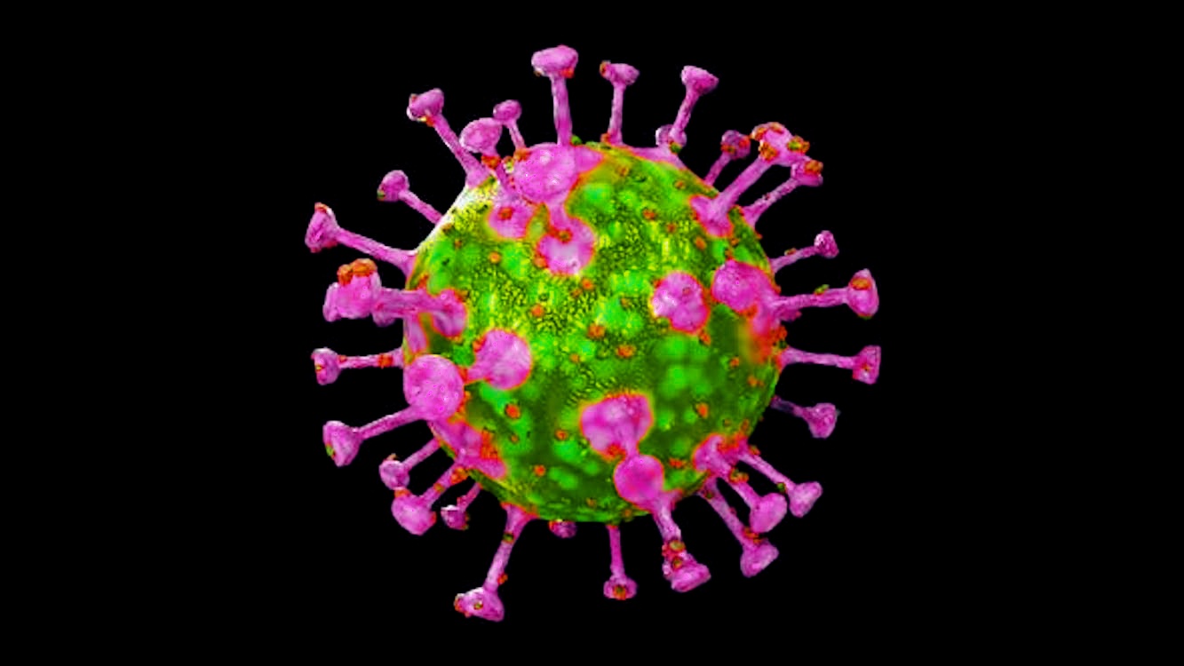 inline_image_preview