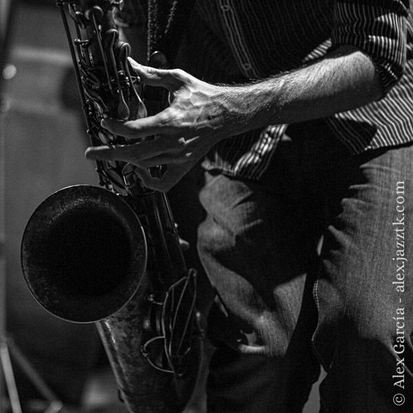 Japp quartet galería-05