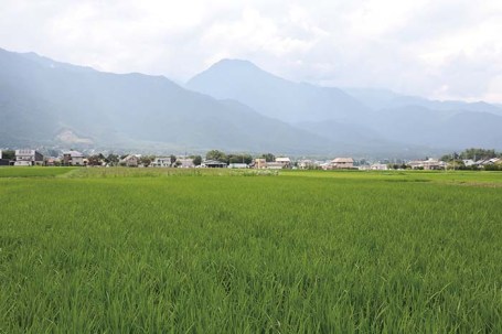 2026nagano_shougetsu4 〈昇月〉ではお米・野菜・果実を、橋本氏自らが田んぼ・菜園・果樹園で無農薬にて栽培している。
