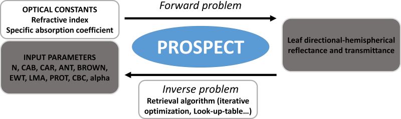 Why Prospect Prospect - Full HD Light Backgrounds for Desktop