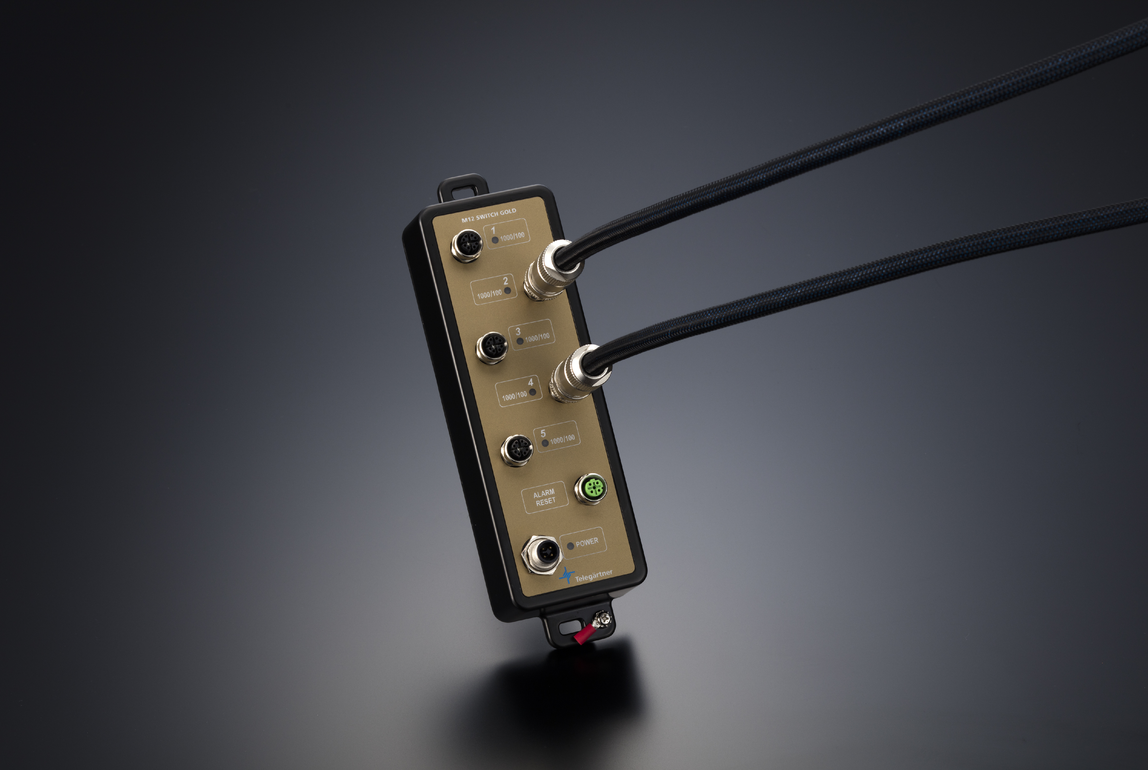 M12 SWITCH GOLD for high-end network audio
