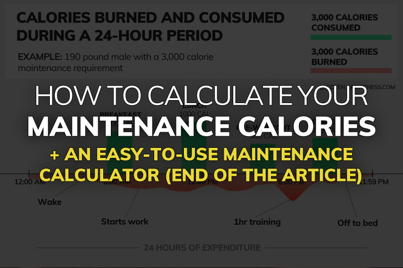 The last change you made has been reset so that you can enter a different value. What Are Your Maintenance Calories Maintenance Calorie Calculator