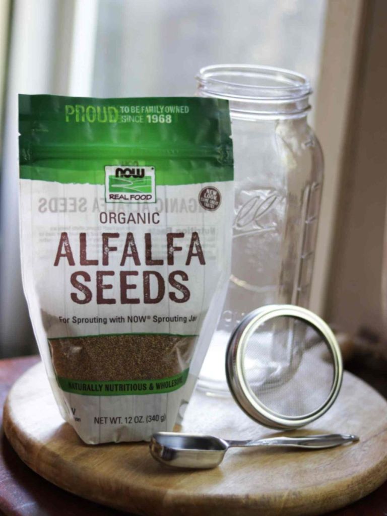 bag of alfalfa sprouts next to a glass mason jar, mesh lid and measuring spoon