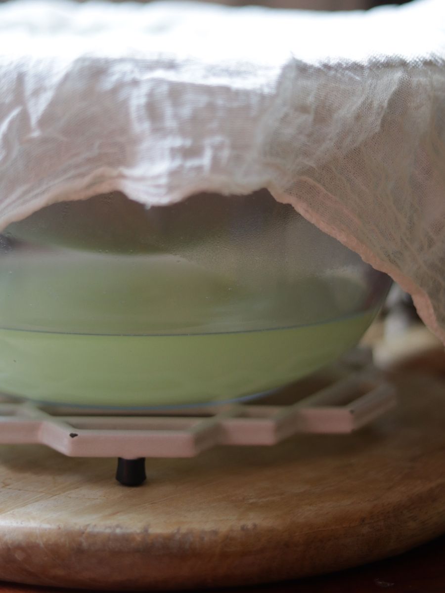 whey in a glass bowl from making homemade greek yogurt