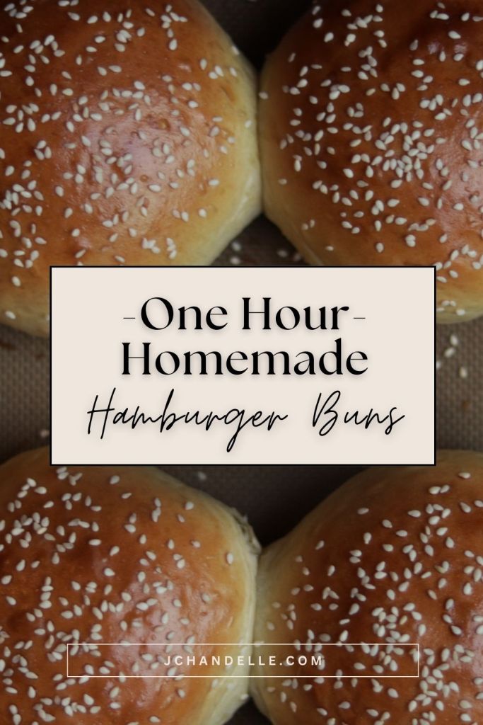 one hour homemade hamburger bun recipe pinterest pin