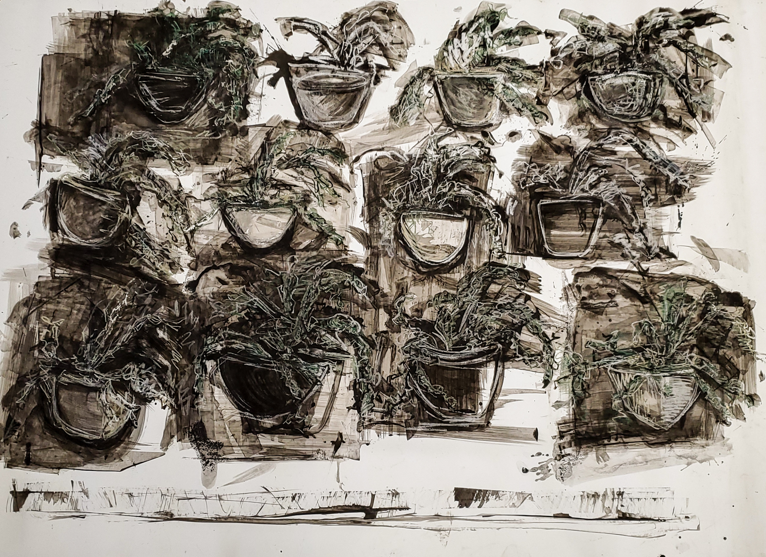 Plant Study In Motion