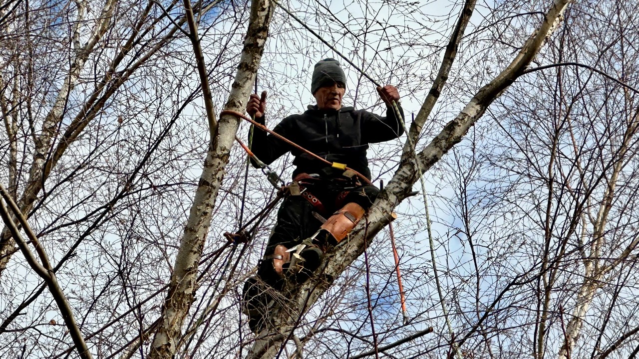 A Professional Boxer Finds Peace High in the Trees