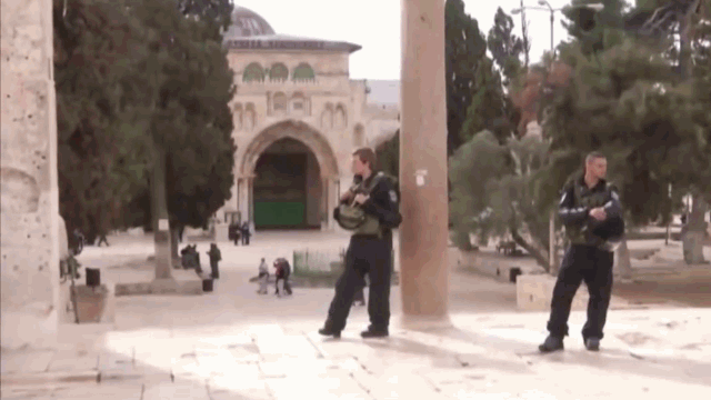 בית המשפט: זכותם של יהודים להתפלל בשערי הר הבית, זהה לזכותם של ערבים