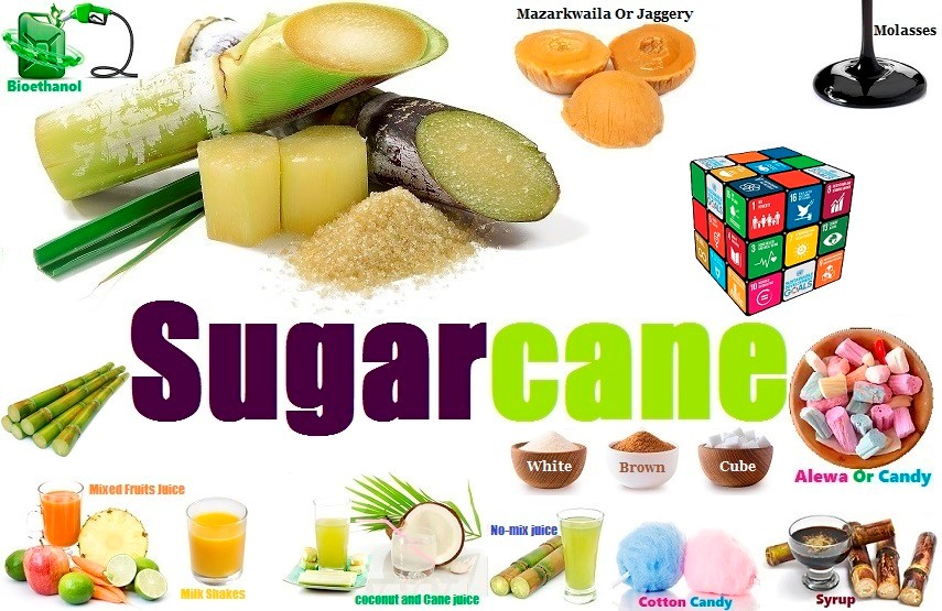 Sugar Africa Nigeria Food Culture