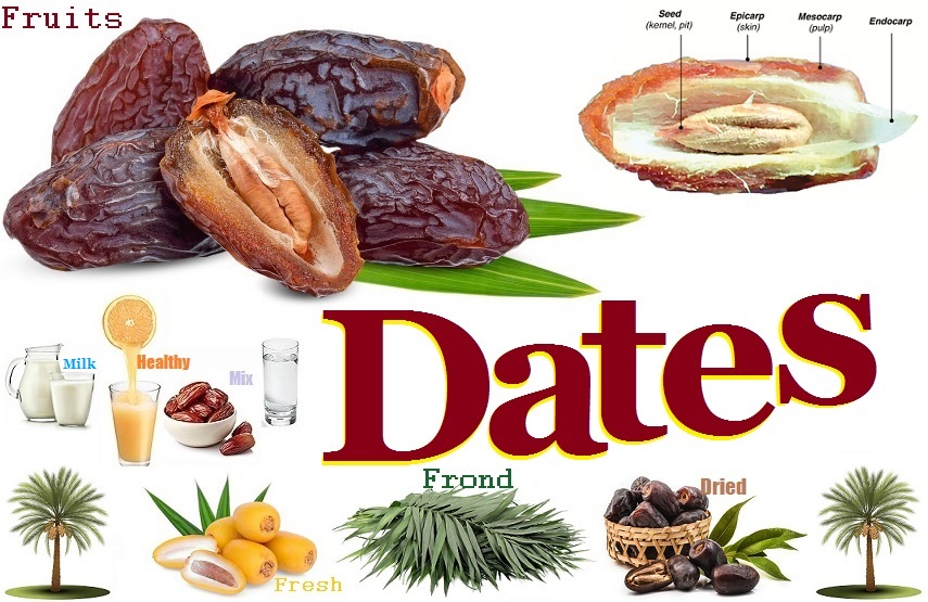 Dates food health culture africa nigeria