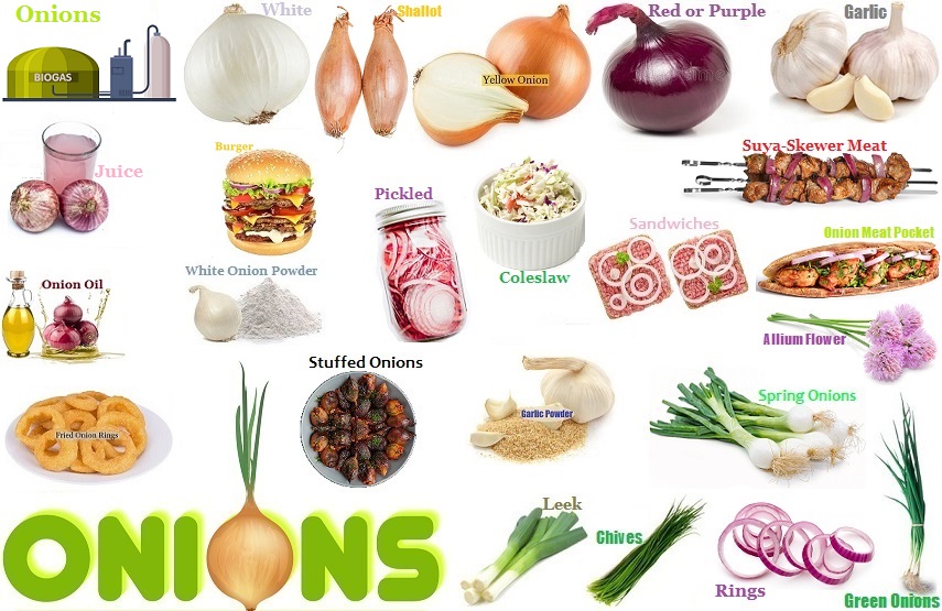 Onions Africa Nigeria Food Culture