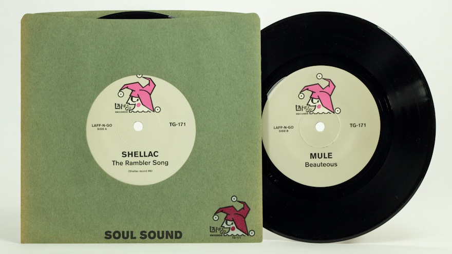 Shellac/Mule