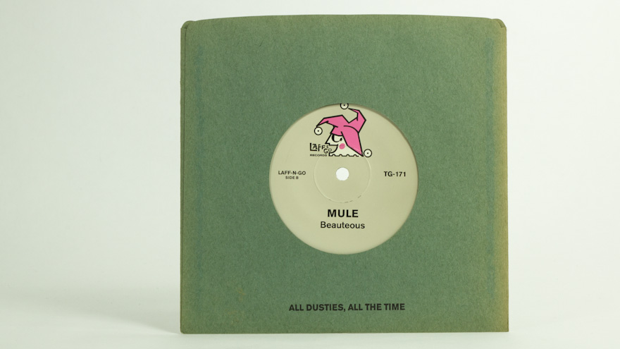 Shellac/Mule