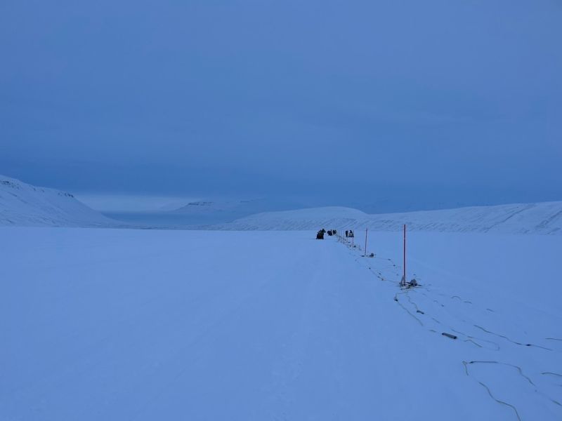 Smillst Suzanne Millstein Github - City Art Collection - Desktop Quality