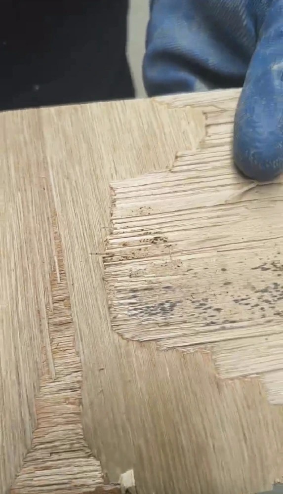 WBP plywood bonding strength wood failure test