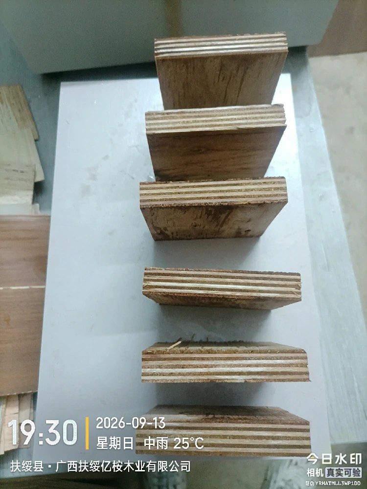 Plywood samples neatly arranged, showing good overall quality and condition.