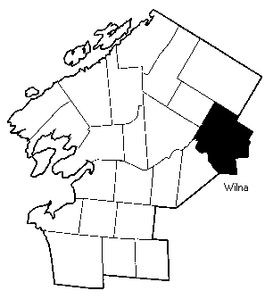 Town Of Wilna Wilna 
