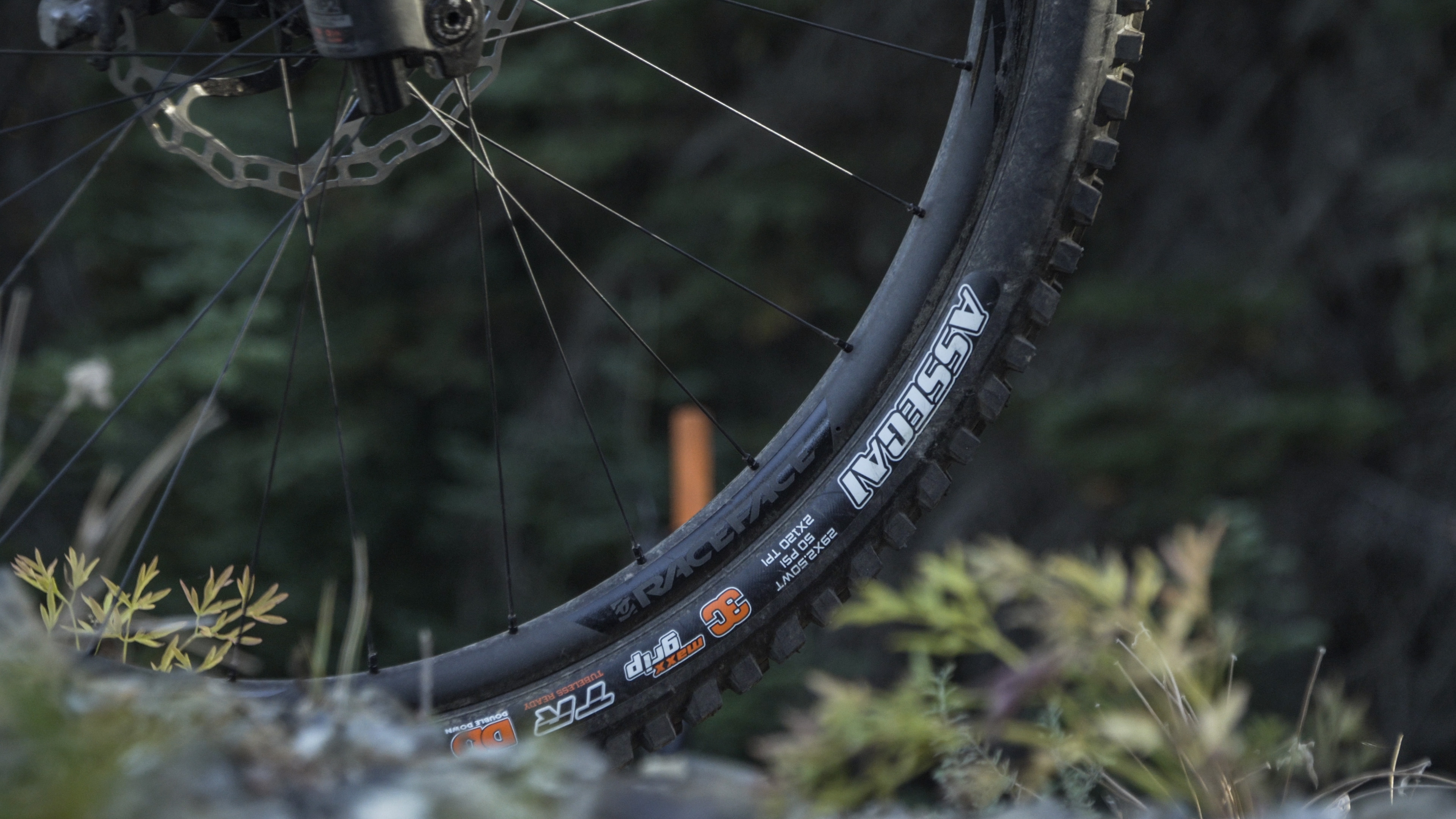 maxxis wheels