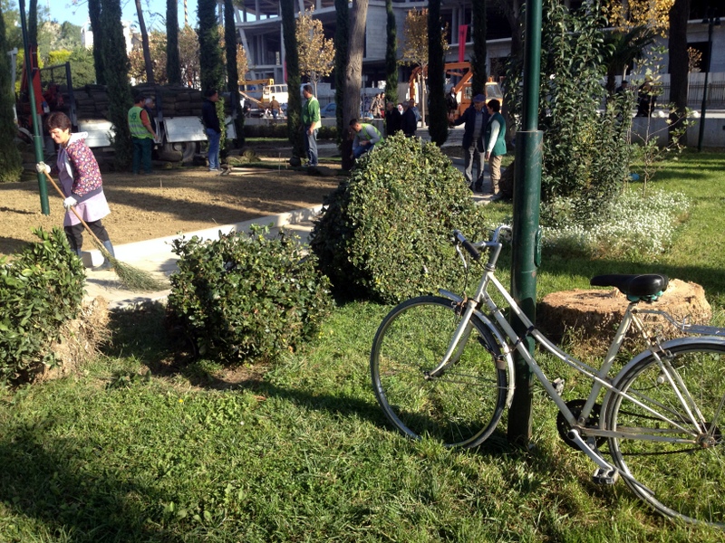 FIXING UP A LOCAL PARK