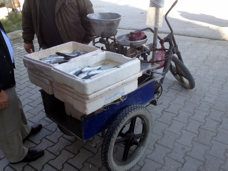 BIKE FISH MARKET